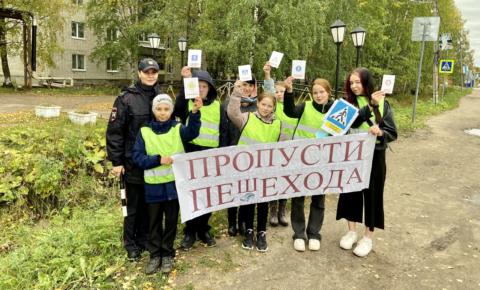 Неделя безопасности дорожного движения