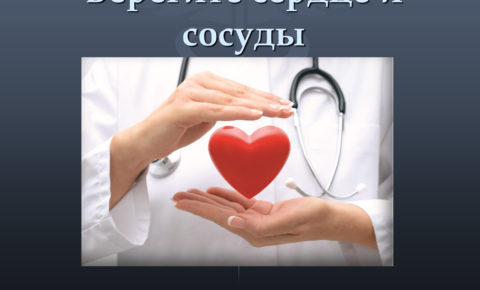 Предотвратить недуг: кардиолог Сыктывдинской ЦРБ Ольга Курочкина рассказывает, как избежать сердечно-сосудистых заболеваний и что делать в экстренных случаях