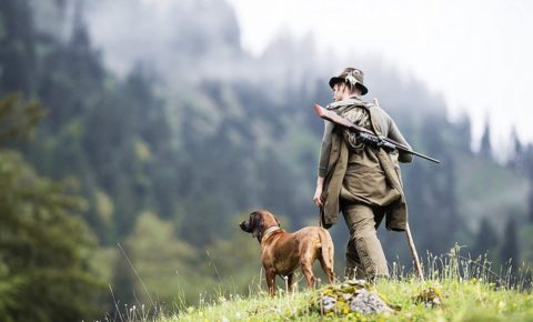 Весенняя охота: как получить разрешение на добычу охотничьих ресурсов