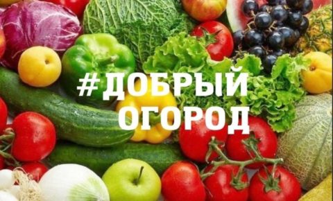 #ДОБРЫЙ ОГОРОД-2023: проект из Сыктывдина вошел в число победителей
