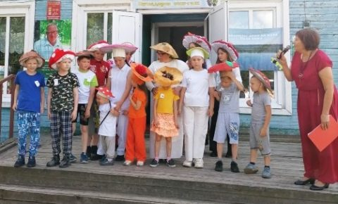  «Грибной бал», художники и «сатирикон»: как в Палевицах отгуляли день села и «Вычегодскую юморину»