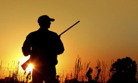 С 15 сентября в Республике Коми открывается охота на лося