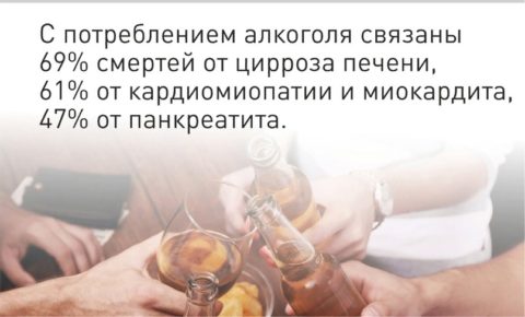 Сберечь организм: В России с 11 сентября началась неделя сокращения потребления алкоголя и связанной с ним смертности и заболеваемости