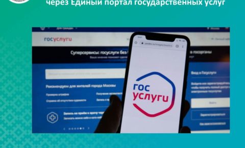 Получи государственную услугу от Минприроды Коми, не выходя из дома