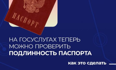 На Госуслугах появился новый сервис — проверка подлинности паспорта