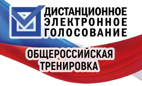 Поучаствуйте в тренировке дистанционного электронного голосования
