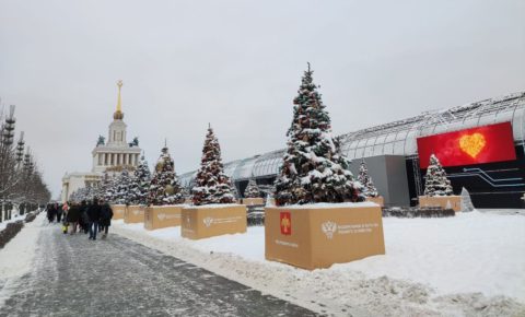 Ёлку Республики Коми на выставке «Россия» украсили мастера народных промыслов.