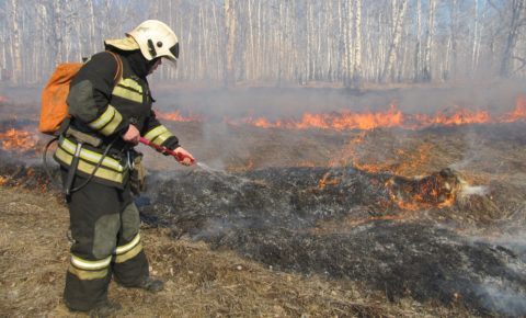 В южных районах Коми с 27 апреля вводится пожароопасный сезон в лесах