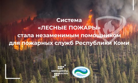 Система «Лесные пожары» стала незаменимым помощником для пожарных служб Республики Коми