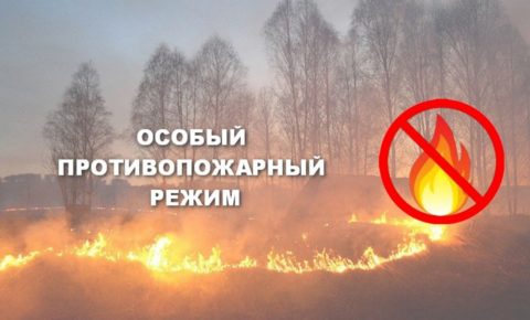 На территории Республики Коми с 5 июля введен особый противопожарный режим