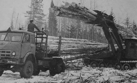 В краю лесных тружеников