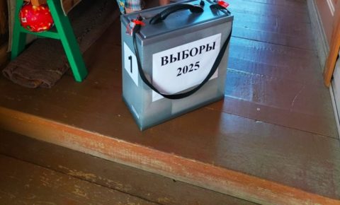 Проголосовали досрочно
