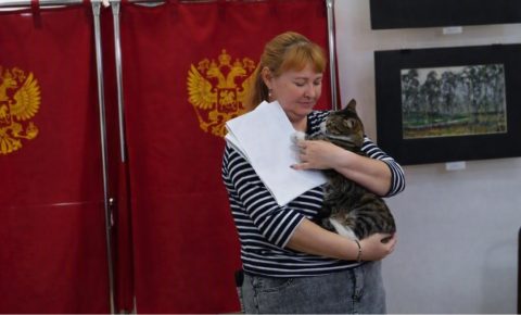 Необычные выборы: музейный кот Пас голосует